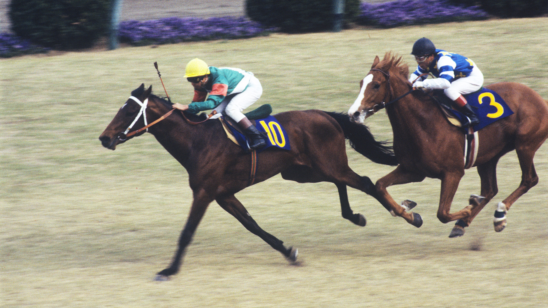 シンボリルドルフ：競馬の殿堂 JRA