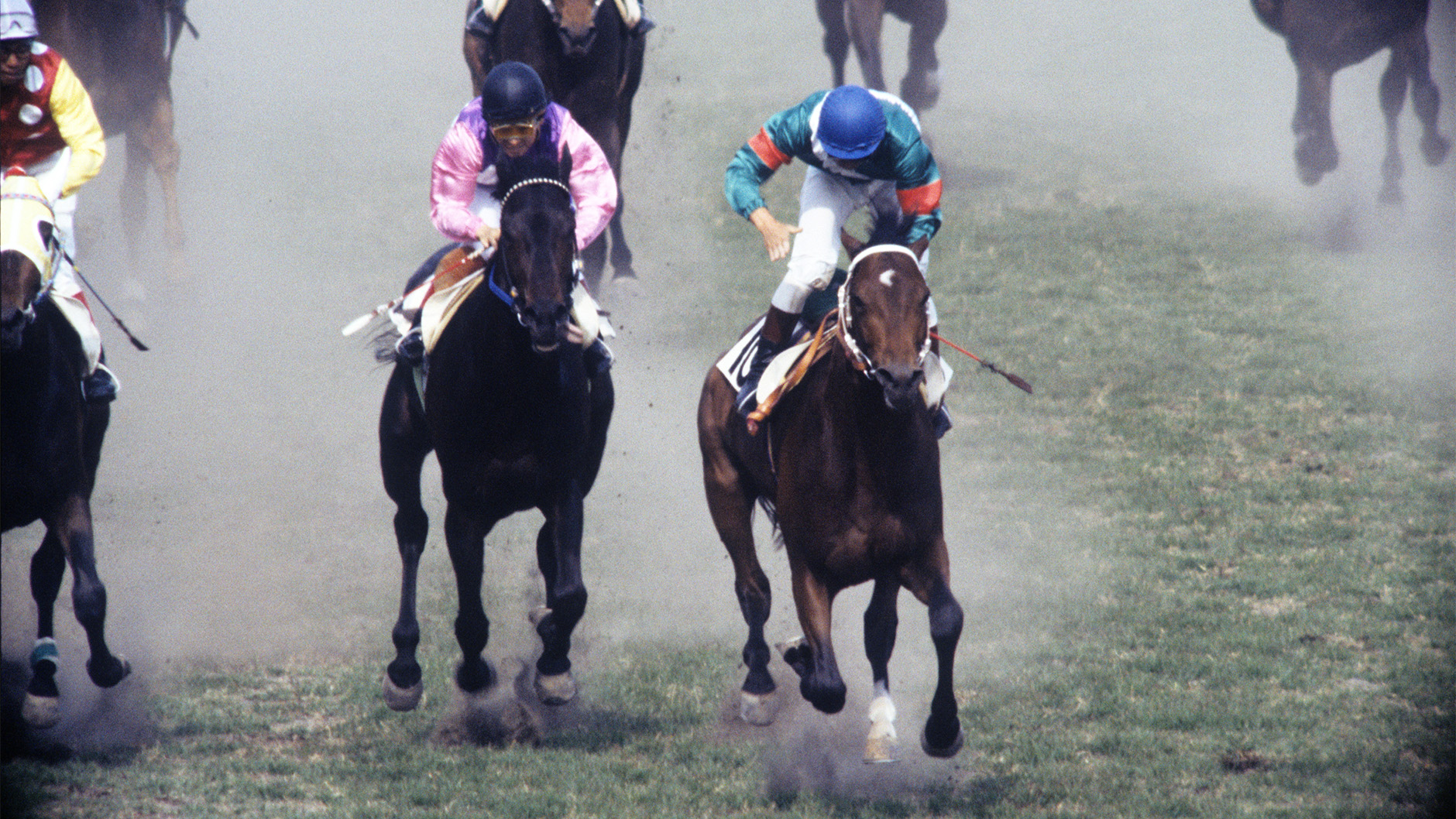 1984�N �����D�x