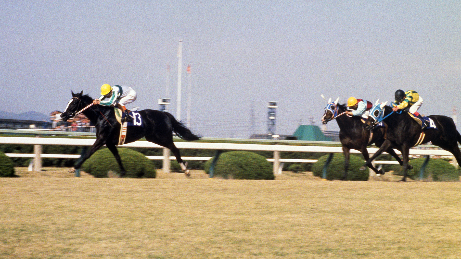 メジロラモーヌ：競馬の殿堂 JRA
