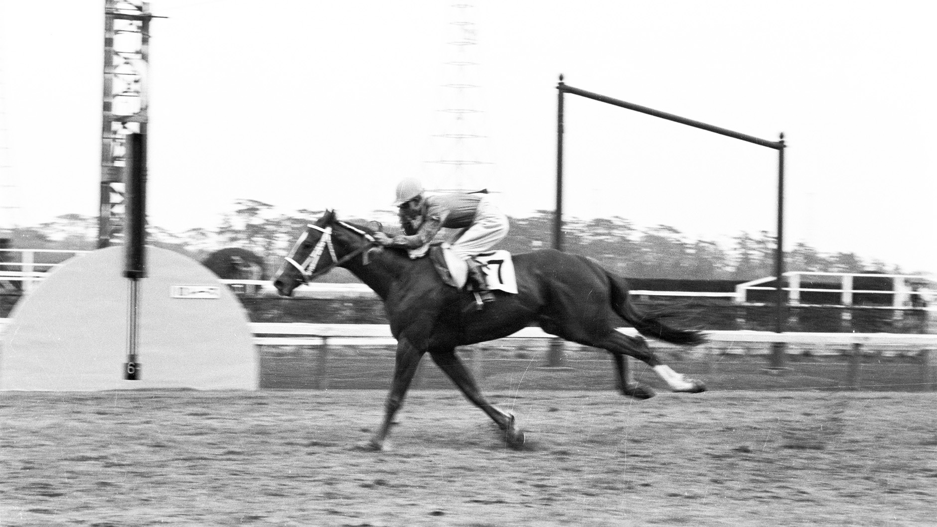 1960�N �H����