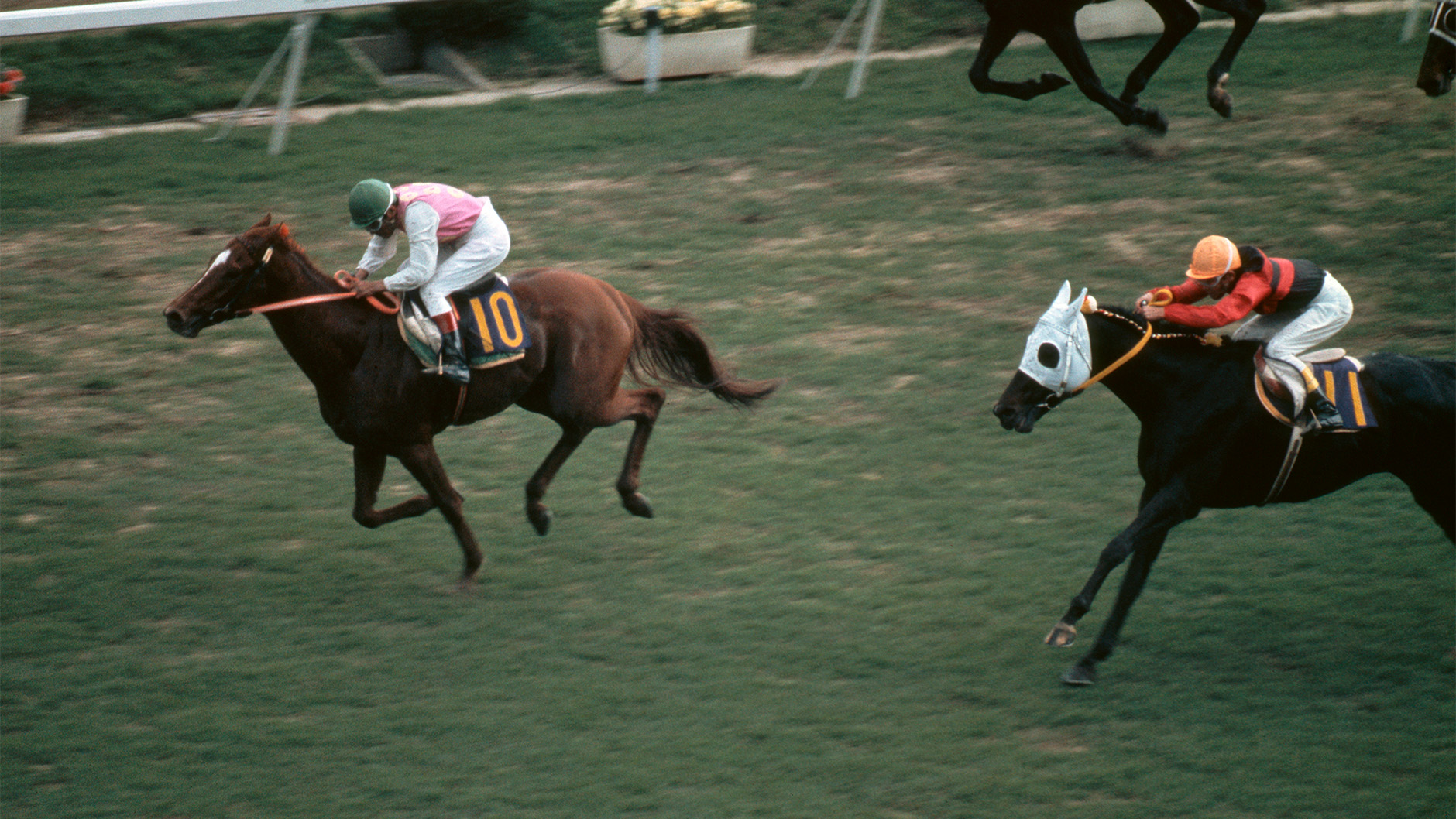 激レア競馬 馬券 名馬 テンポイント テンポイント｜名馬メモリアル｜競馬情報ならJRA-VAN