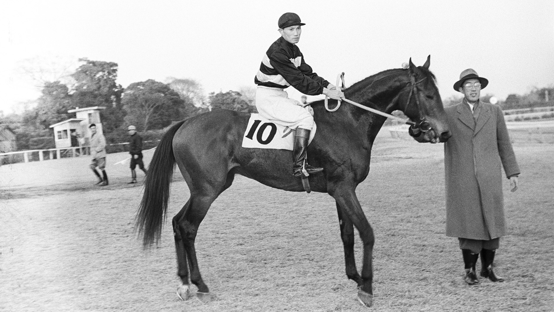 1954�N �����u3��S