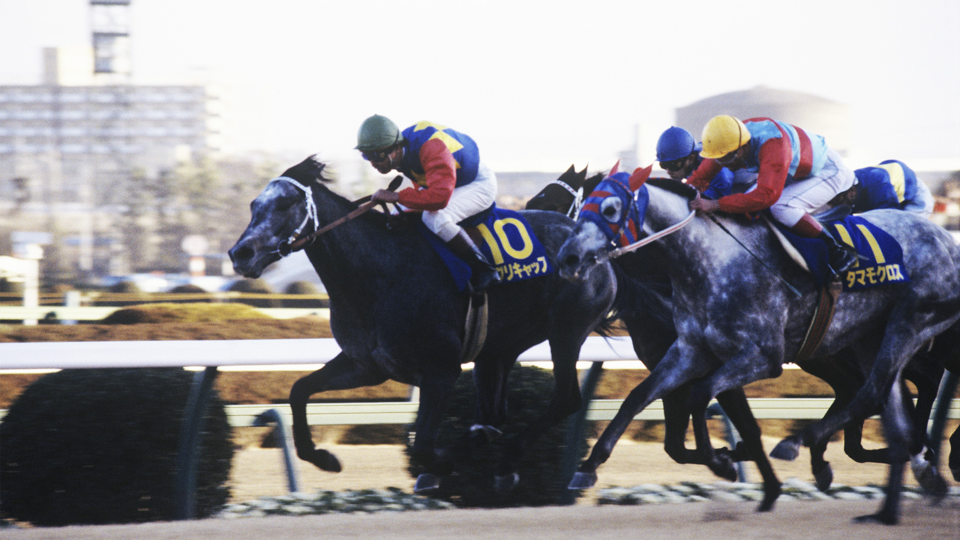 オグリキャップ：競馬の殿堂 JRA
