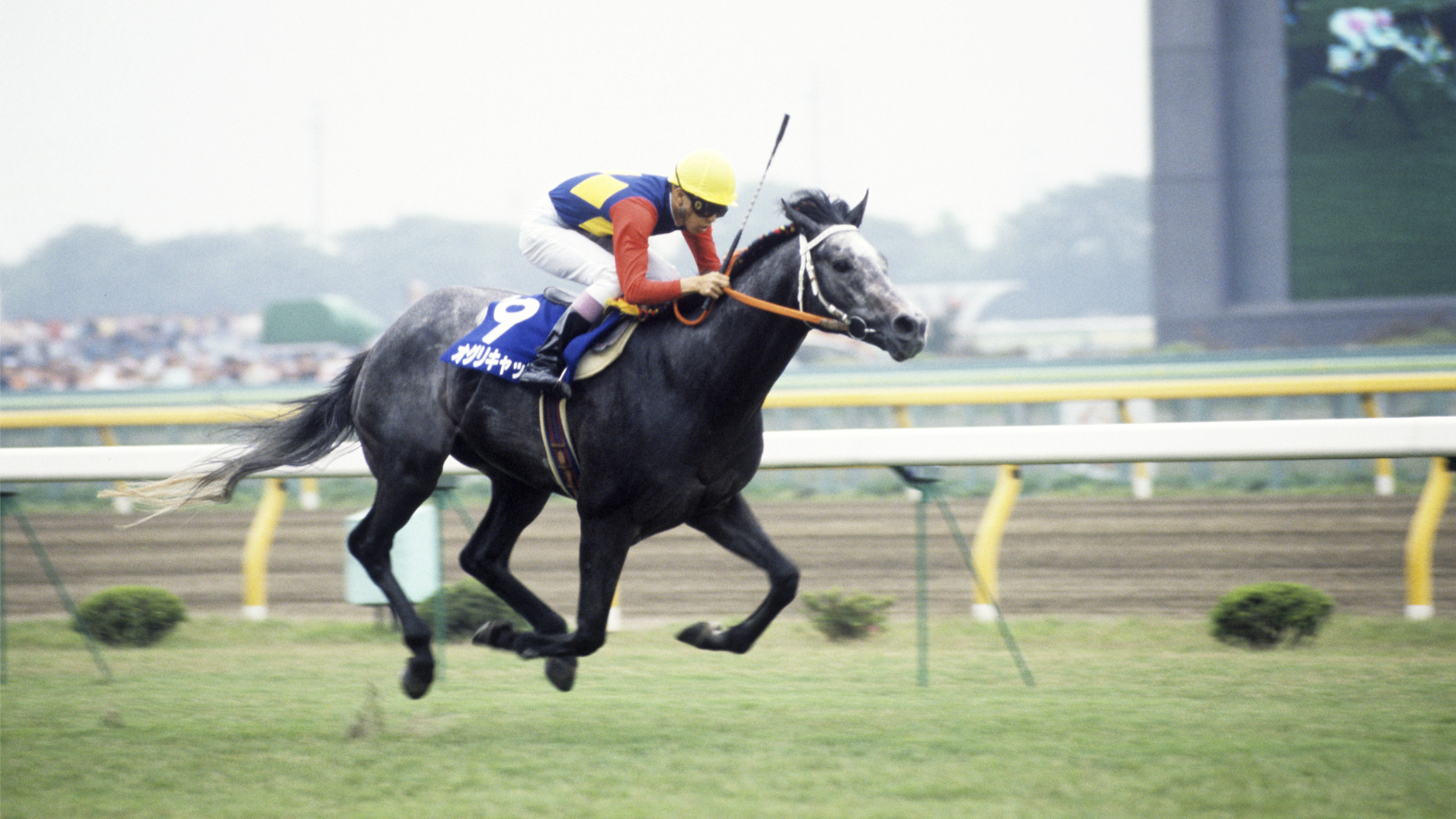 オグリキャップ：競馬の殿堂 JRA