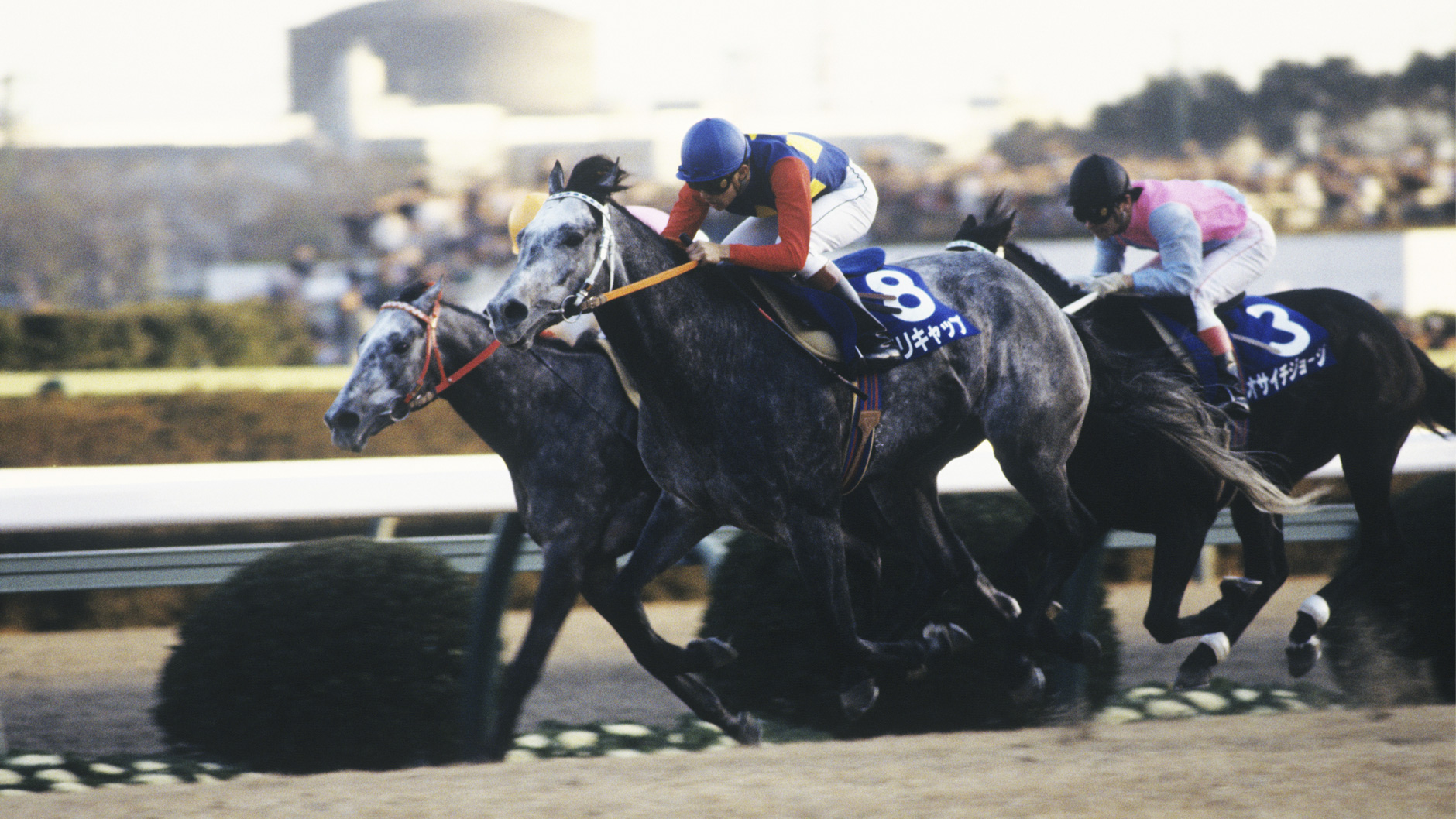 オグリキャップ：競馬の殿堂 JRA