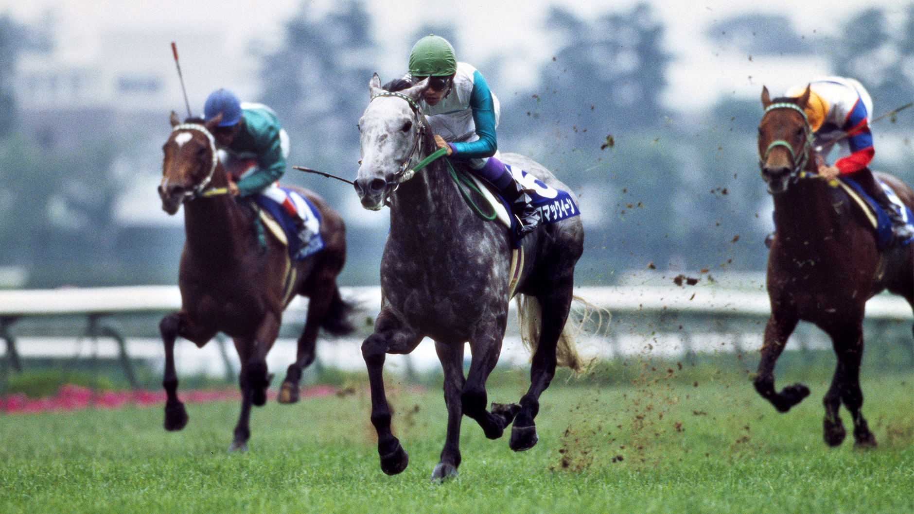メジロマックイーン：競馬の殿堂 JRA