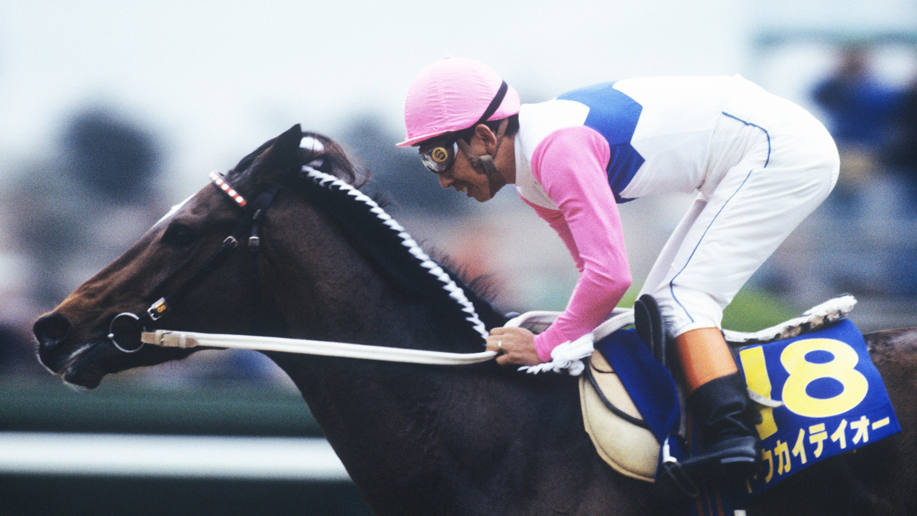 トウカイテイオー：競馬の殿堂 JRA