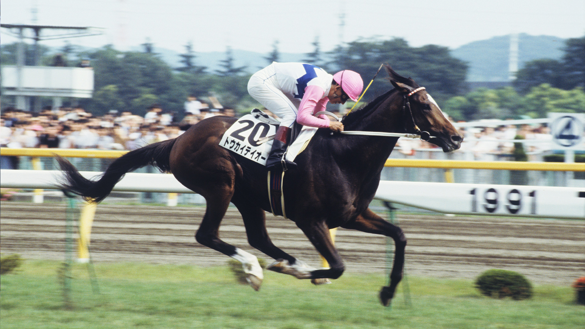 トウカイテイオー：競馬の殿堂 JRA