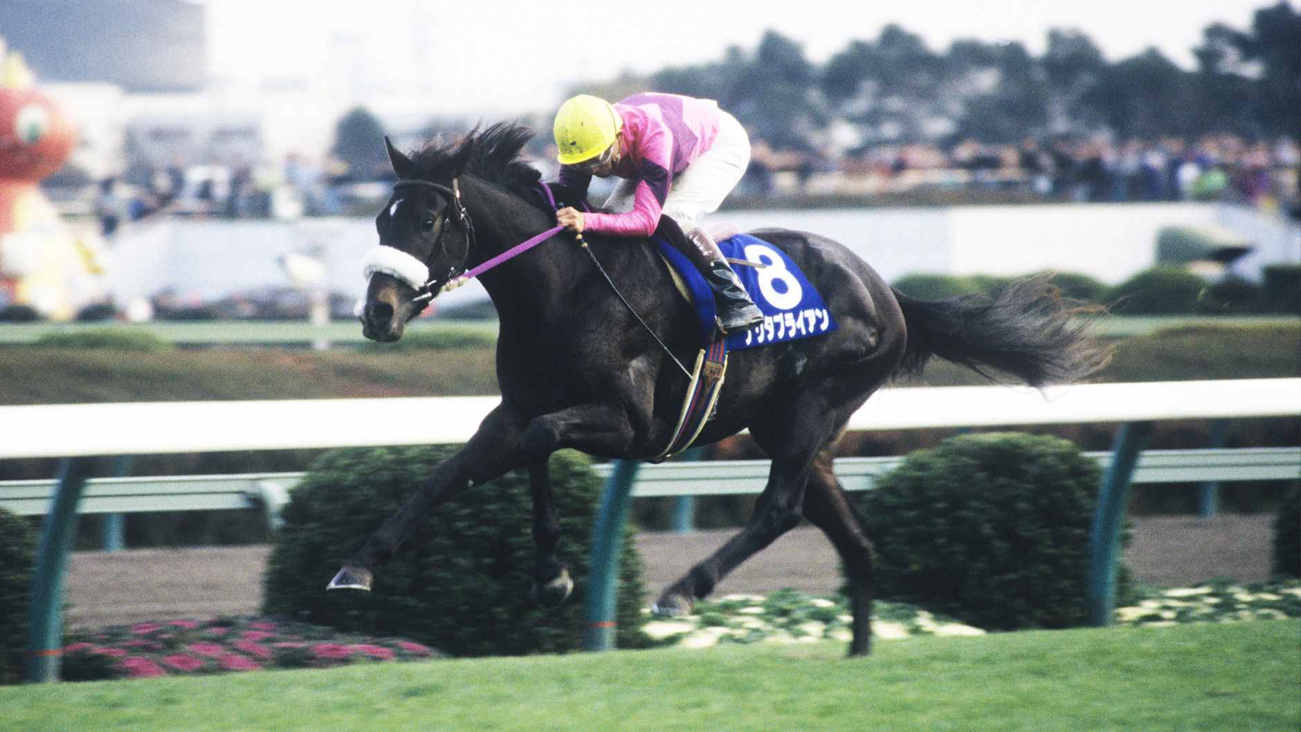 ナリタブライアン：競馬の殿堂 JRA