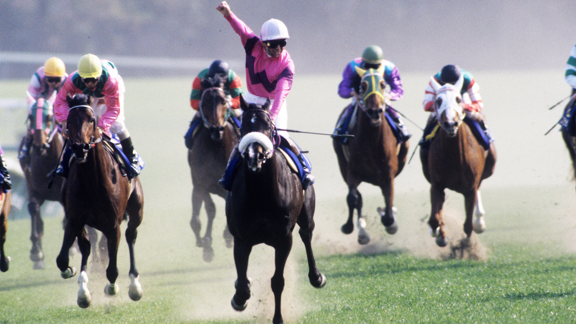 ナリタブライアン：競馬の殿堂 JRA