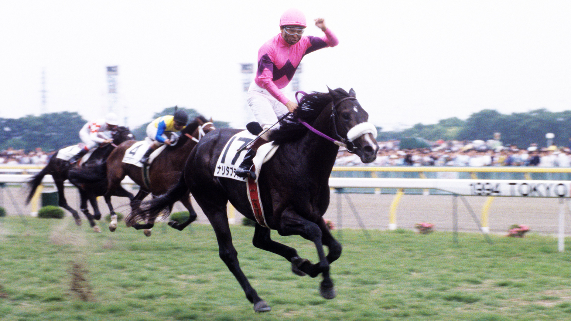 ナリタブライアン：競馬の殿堂 JRA