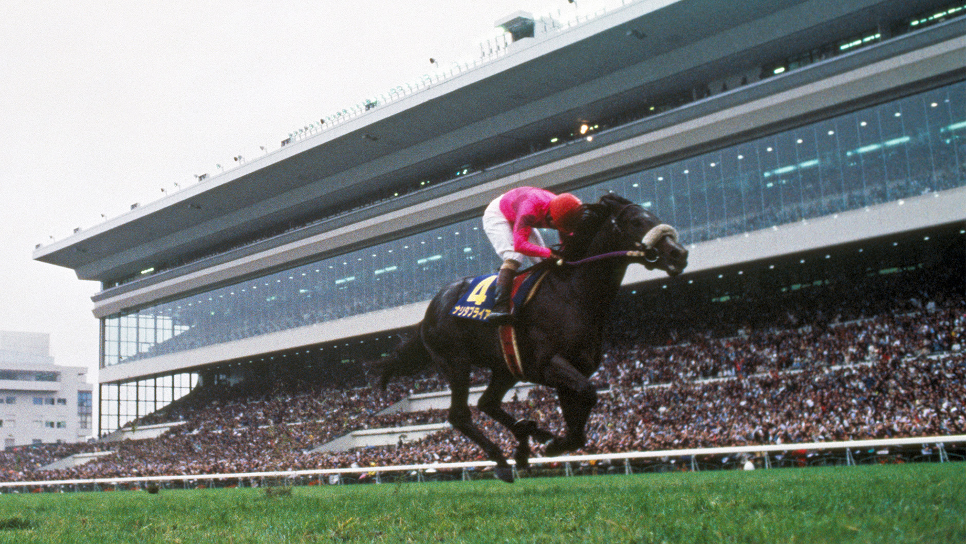 ナリタブライアン：競馬の殿堂 JRA