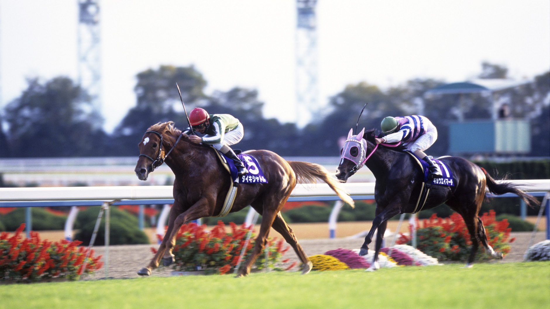 タイキシャトル：競馬の殿堂 JRA