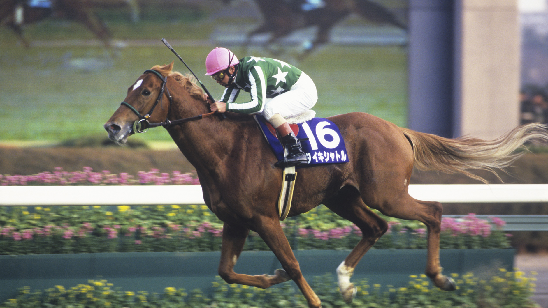 岡部幸雄、タイキシャトルの記念パネル 岡部幸雄、タイキシャトルの