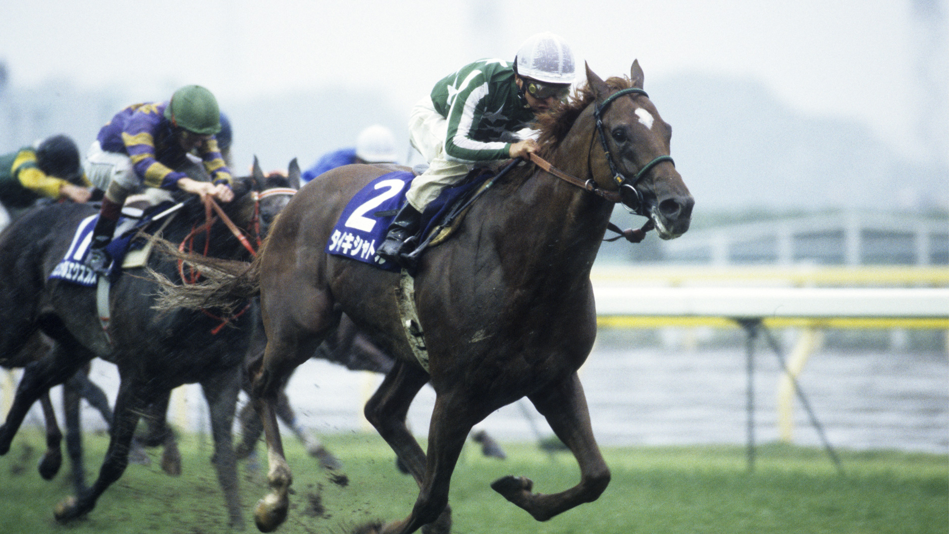 タイキシャトル：競馬の殿堂 JRA