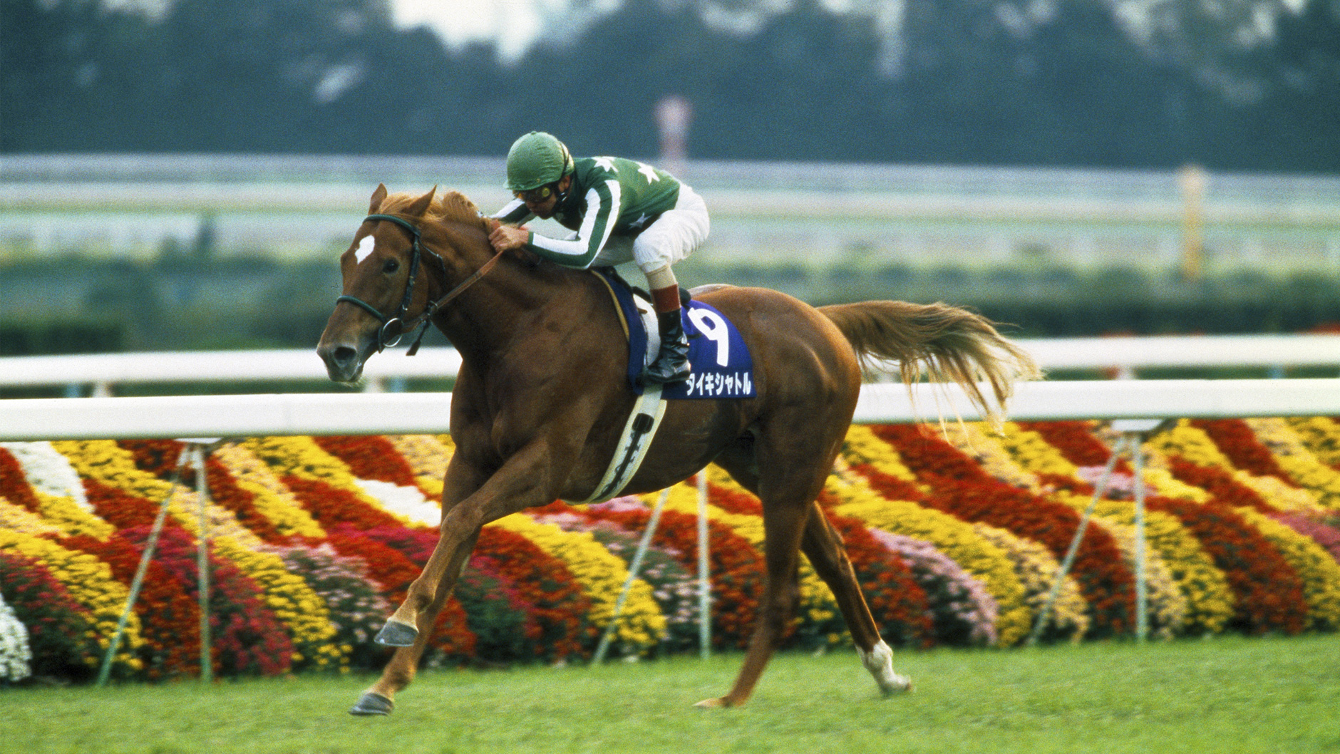 タイキシャトル：競馬の殿堂 JRA