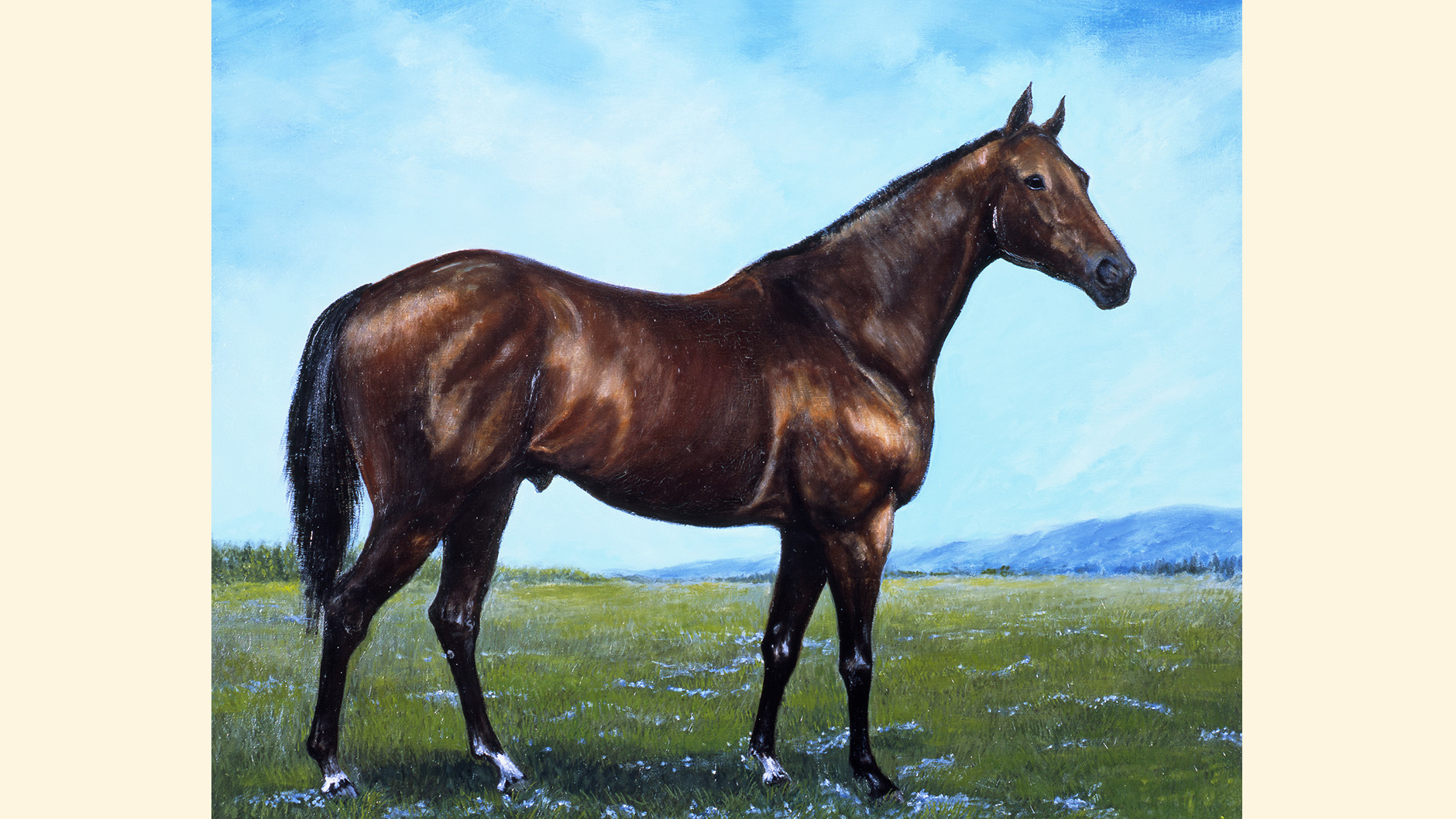 �^�P�V�o�I�[�̏ё���