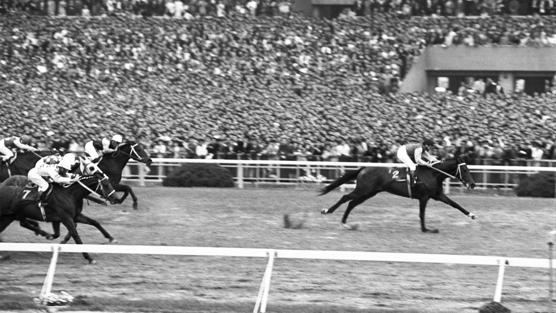 1969�N �V�c�܁i�t�j