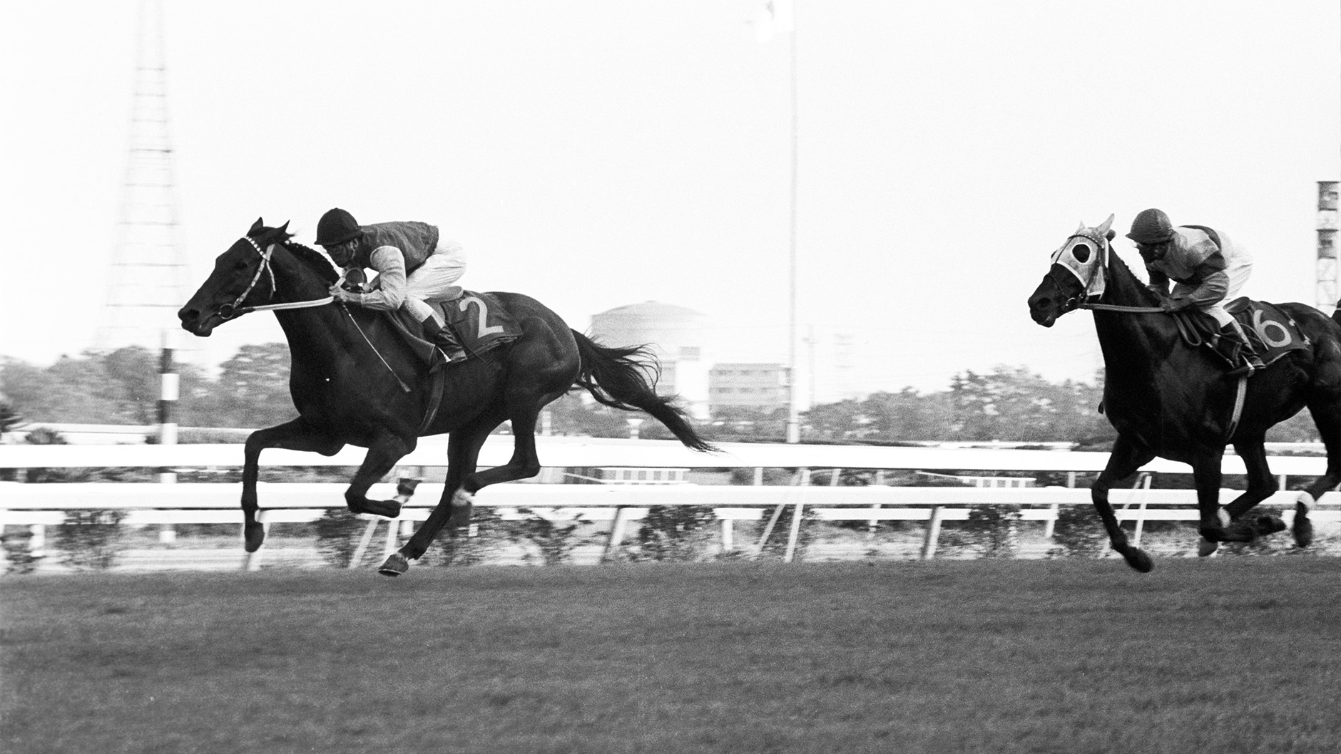 1969�N �p���t�F�A�J�ËL�O �i�X�v�����^�[�YS�j