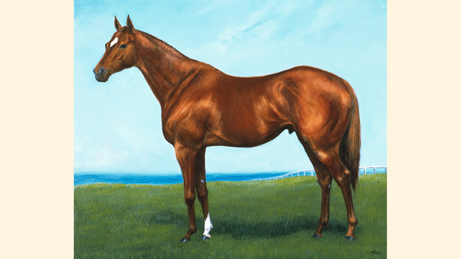 テイエムオペラオー：競馬の殿堂 JRA