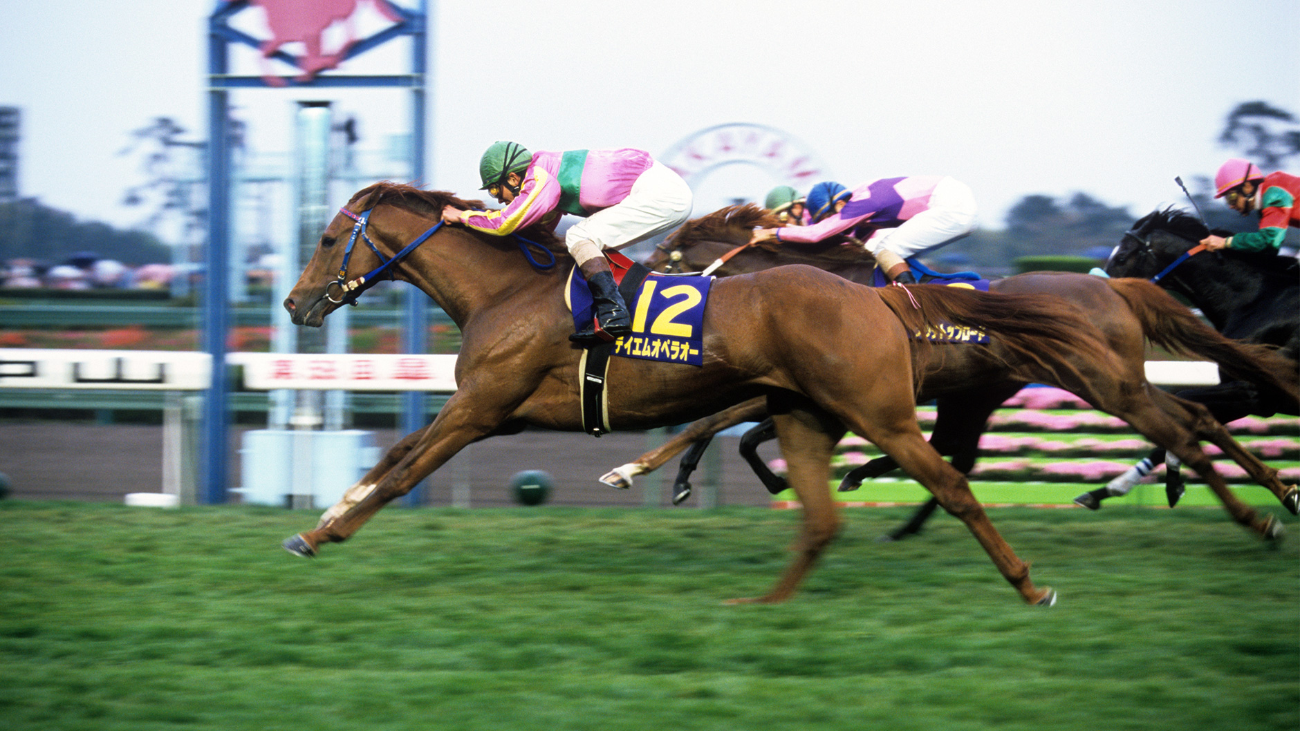 テイエムオペラオー：競馬の殿堂 JRA