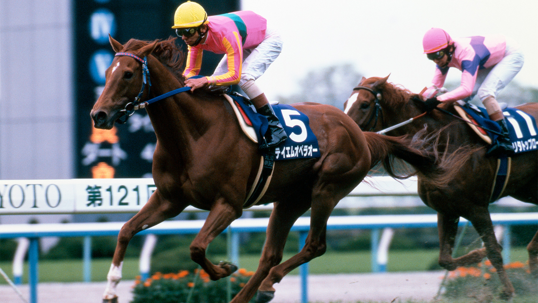 テイエムオペラオー：競馬の殿堂 JRA