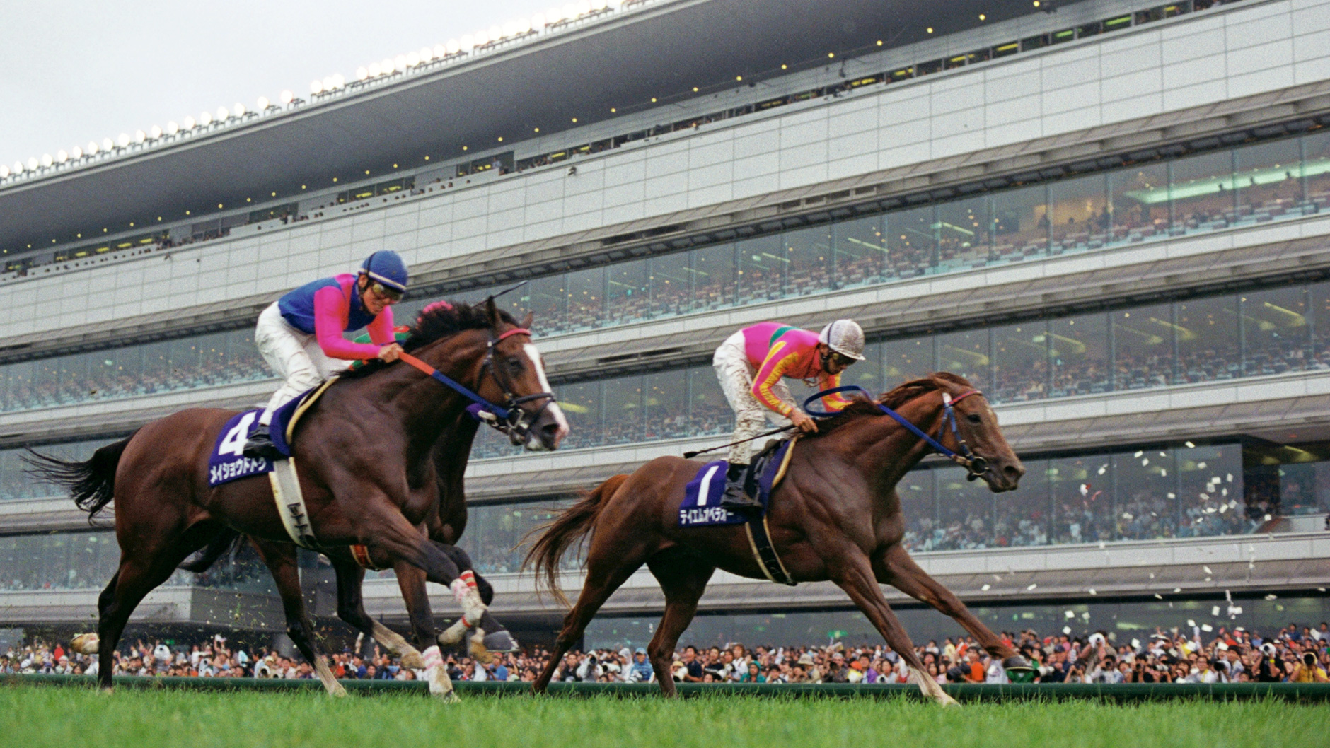 テイエムオペラオー蹄鉄の盾 List of T.M. Opera O | Buy from TCG Republic - Online Shop for