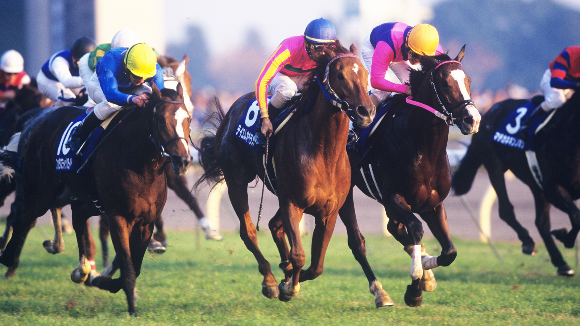 JRAヒーロー列伝　No.48 テイエムオペラオー Yahoo!オークション - JRA ヒーロー列伝No.48 テイエムオペラオー クリ