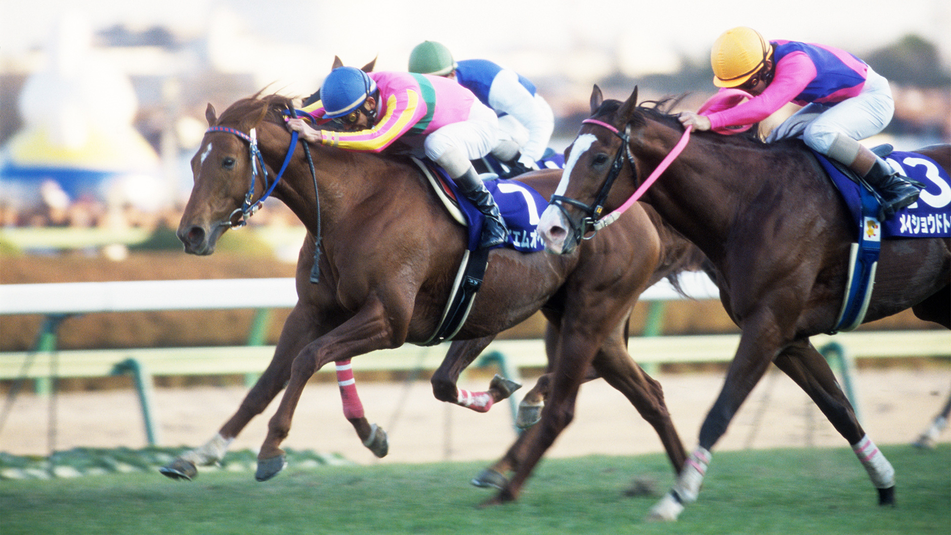 テイエムオペラオー：競馬の殿堂 JRA