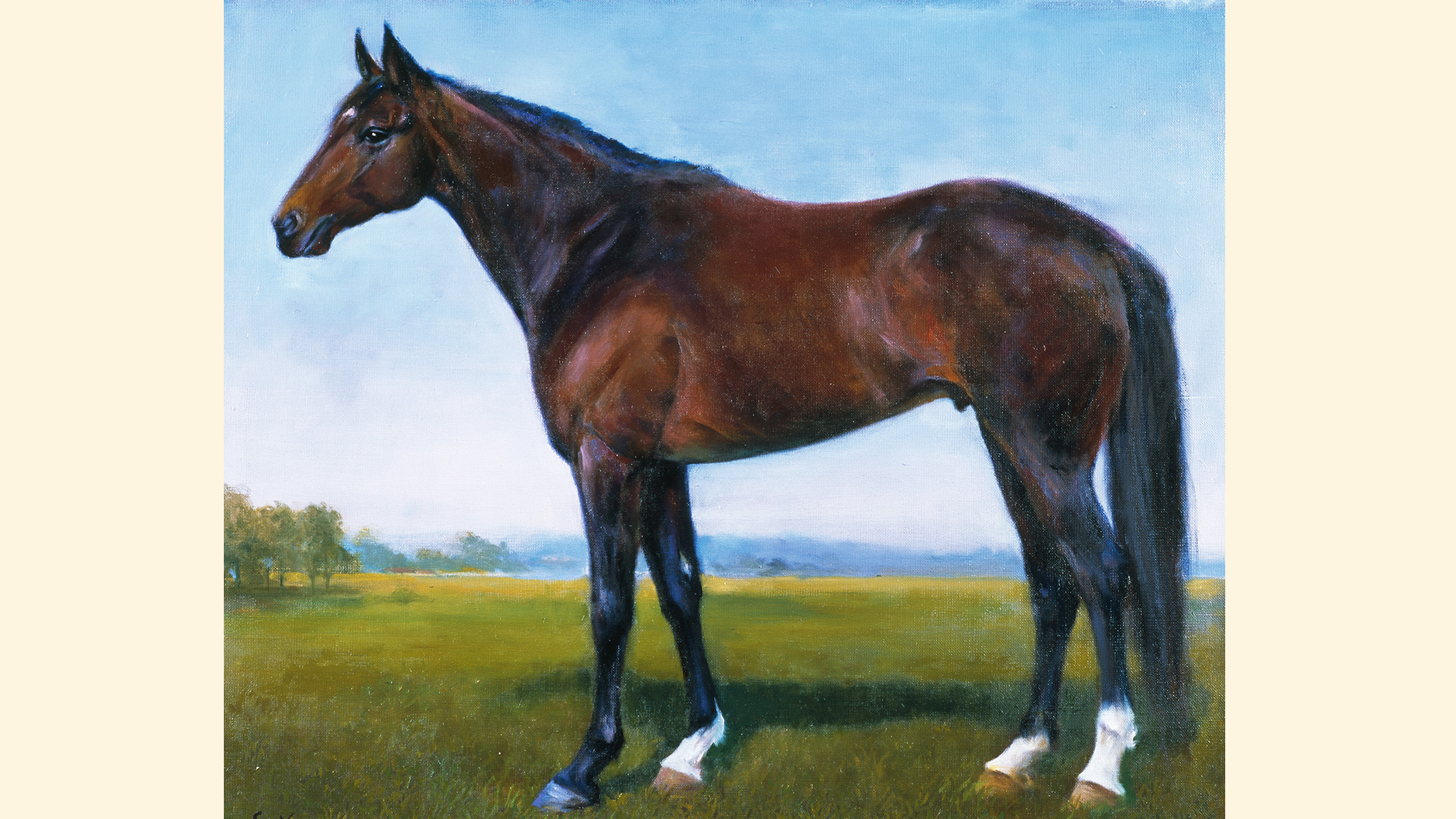 ディープインパクト：競馬の殿堂 JRA