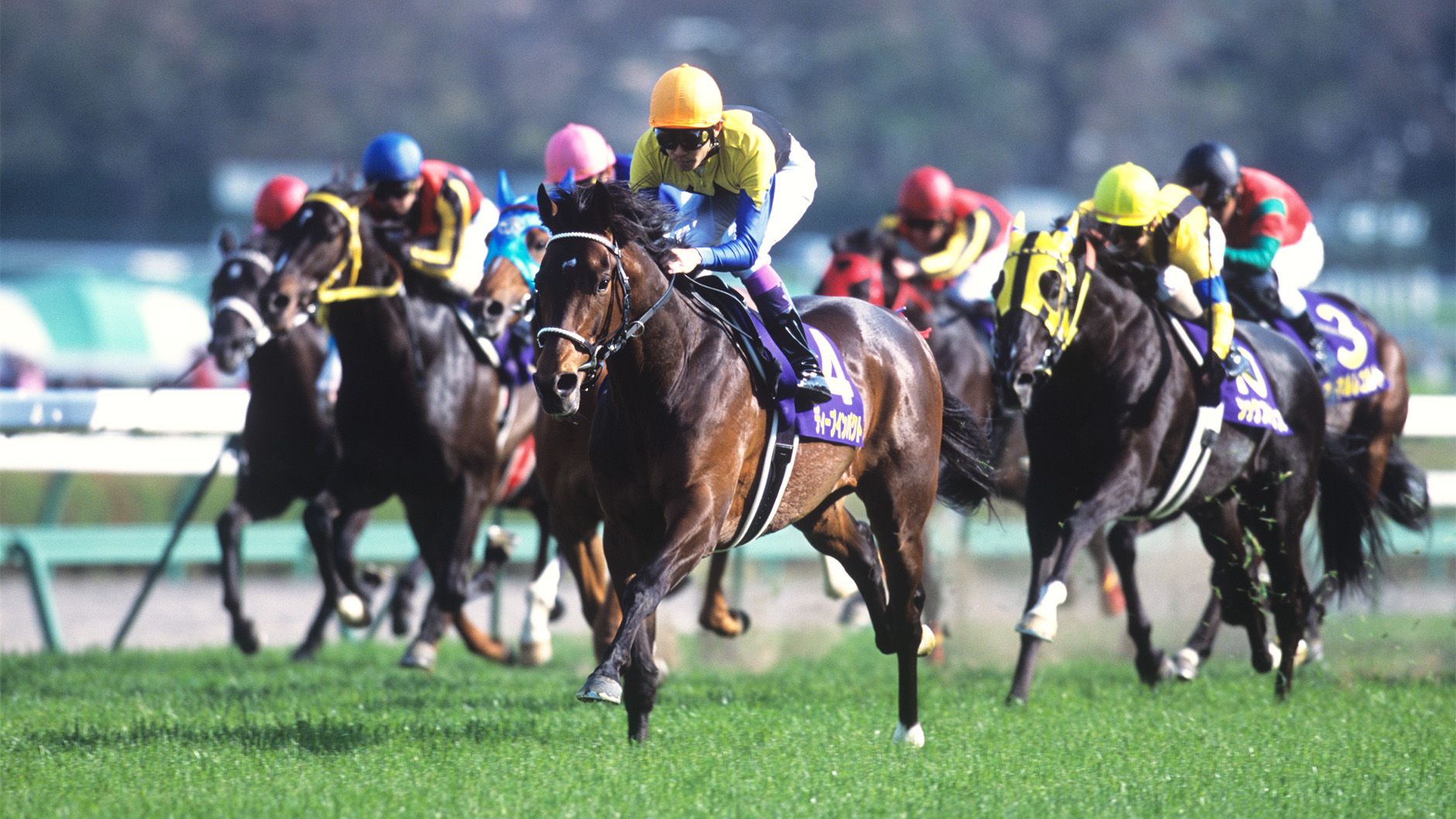 ディープインパクト：競馬の殿堂 JRA