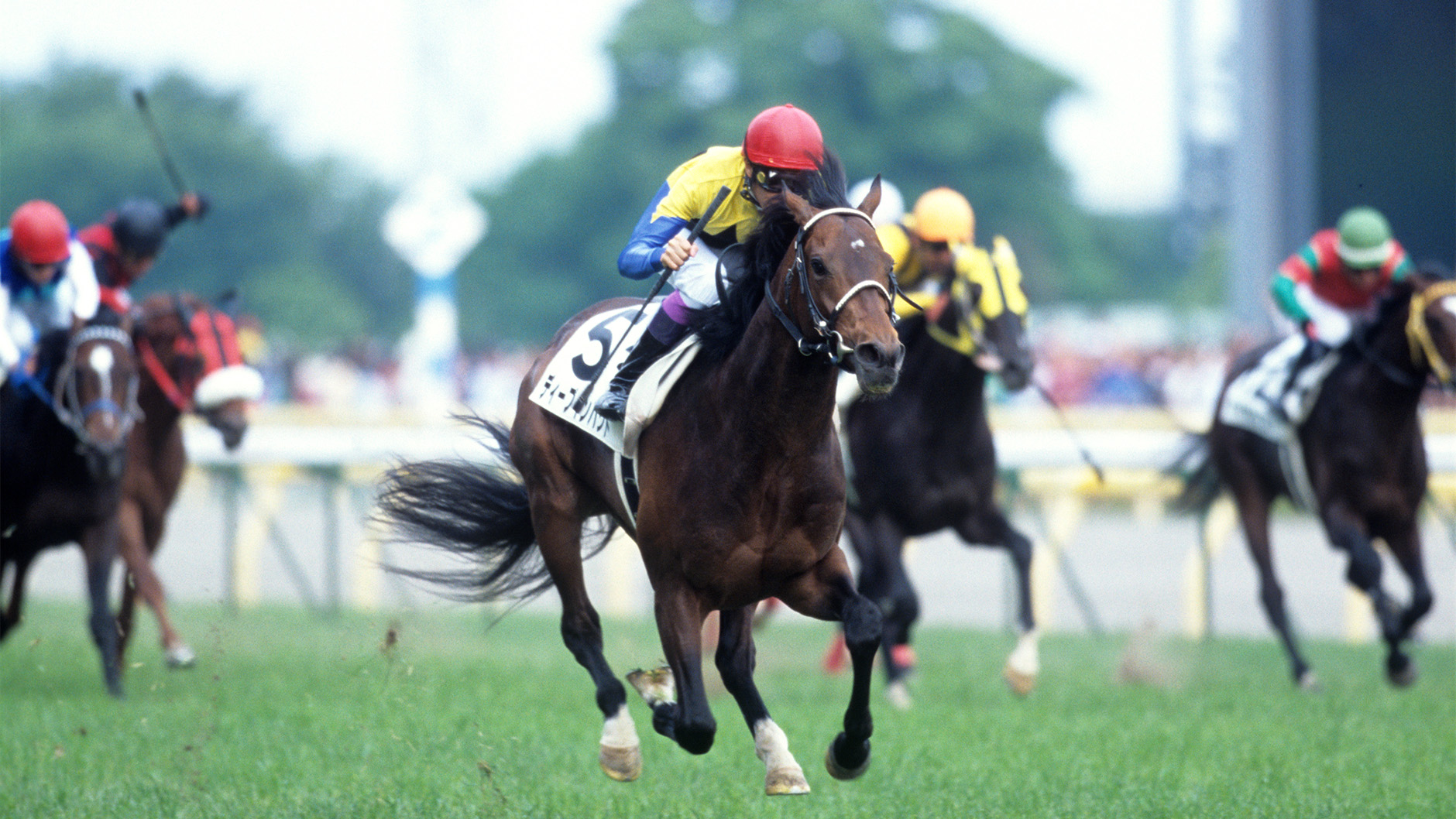 ディープインパクト：競馬の殿堂 JRA