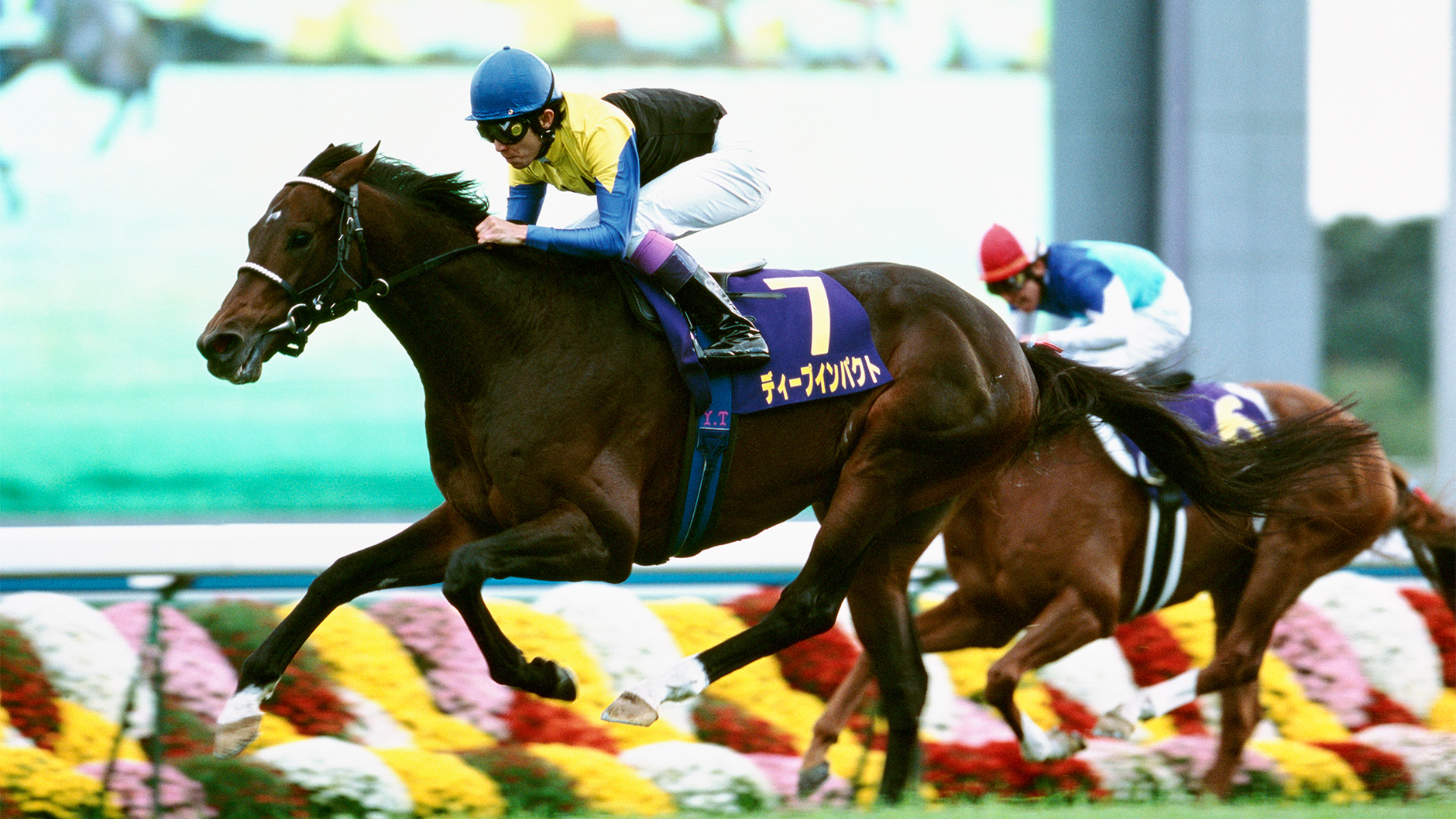 ディープインパクト：競馬の殿堂 JRA