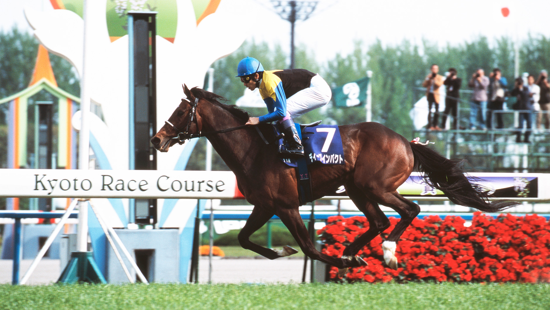 ディープインパクト：競馬の殿堂 JRA