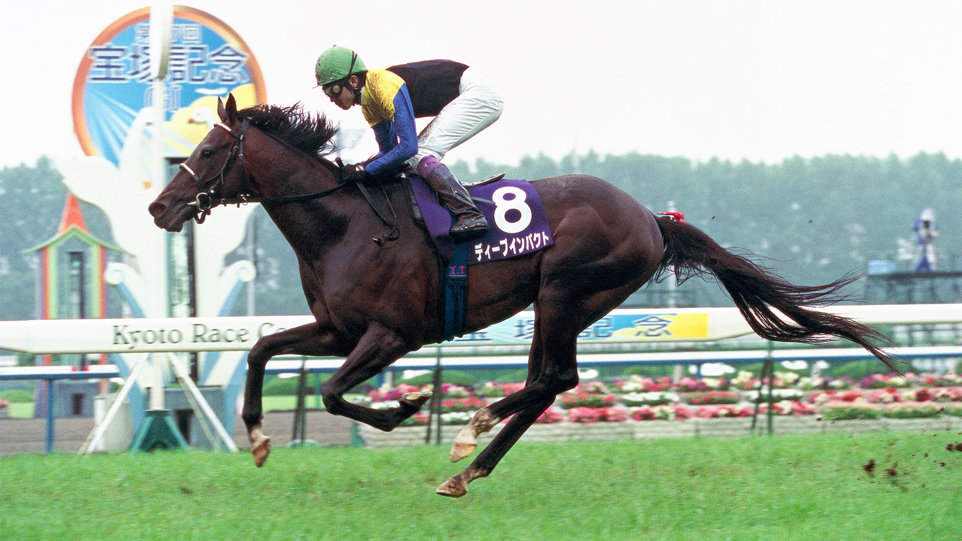 ディープインパクト：競馬の殿堂 JRA