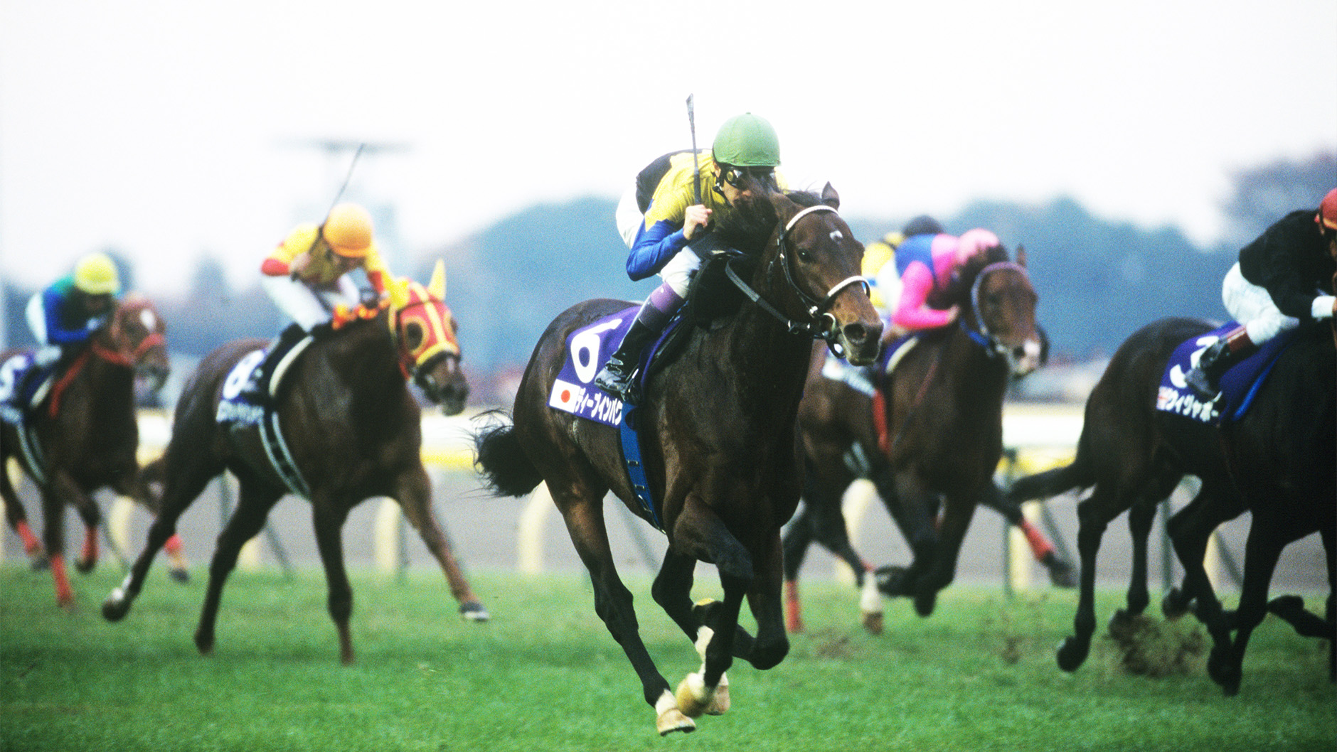 ディープインパクト：競馬の殿堂 JRA