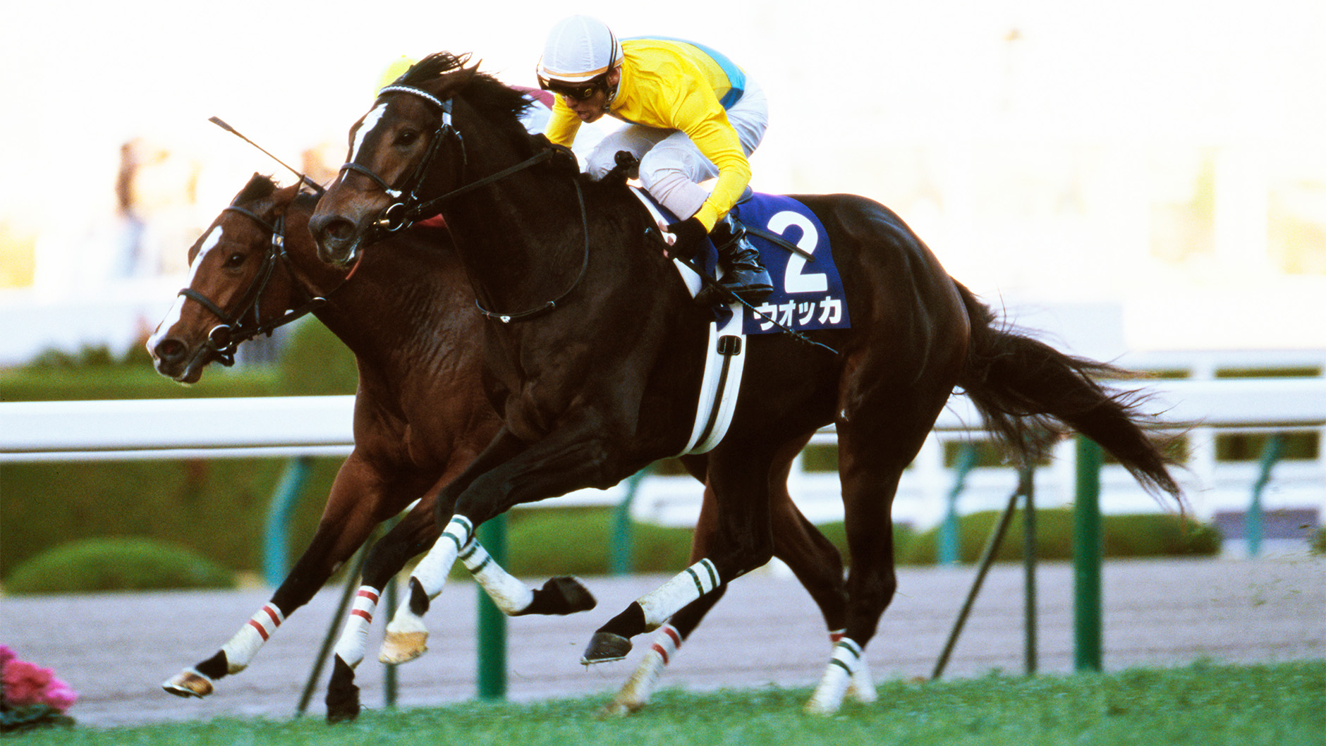 ウオッカ：競馬の殿堂 JRA