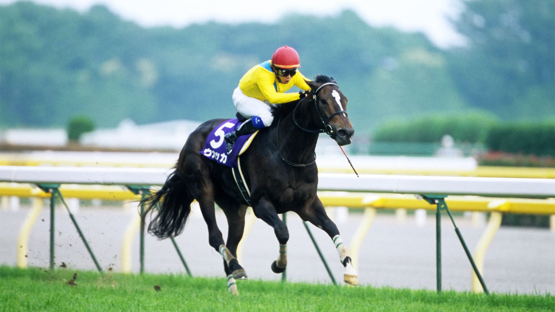 ウオッカ：競馬の殿堂 JRA