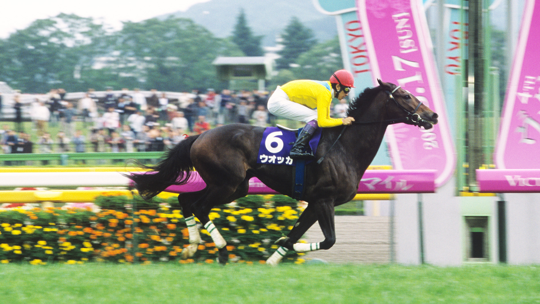 ウオッカ：競馬の殿堂 JRA