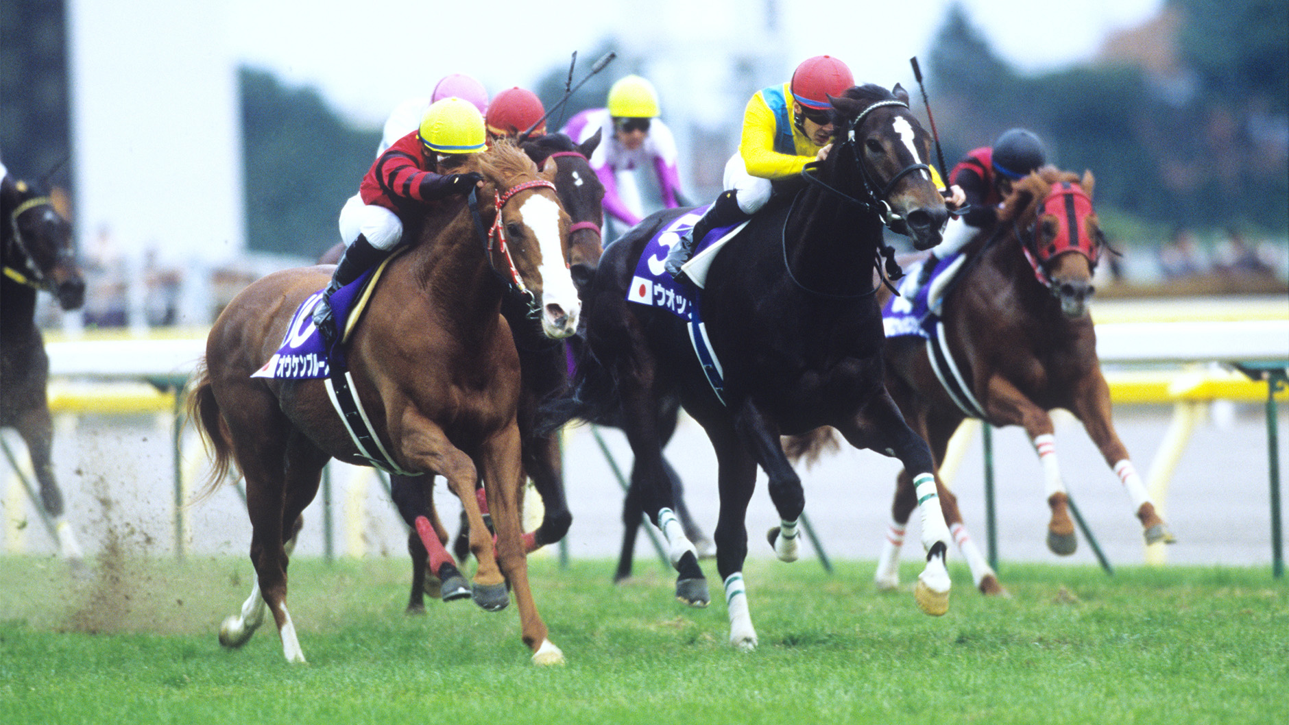 ウオッカ：競馬の殿堂 JRA