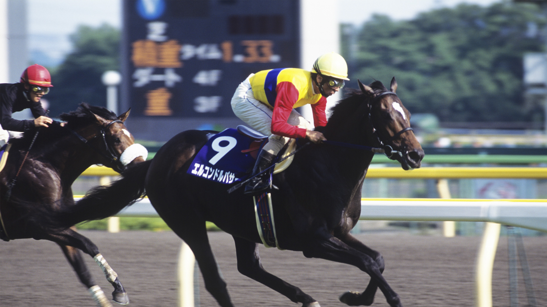 エルコンドルパサー：競馬の殿堂 JRA