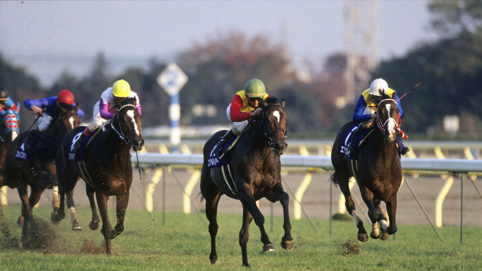 エルコンドルパサー：競馬の殿堂 JRA