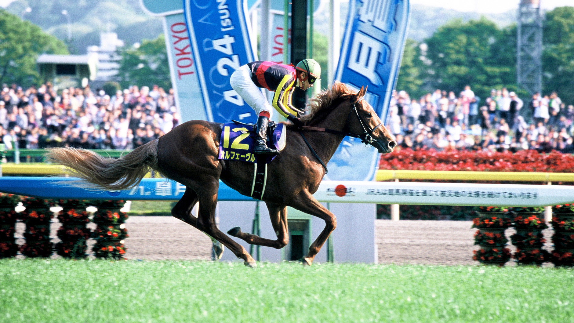 2011�N �H����