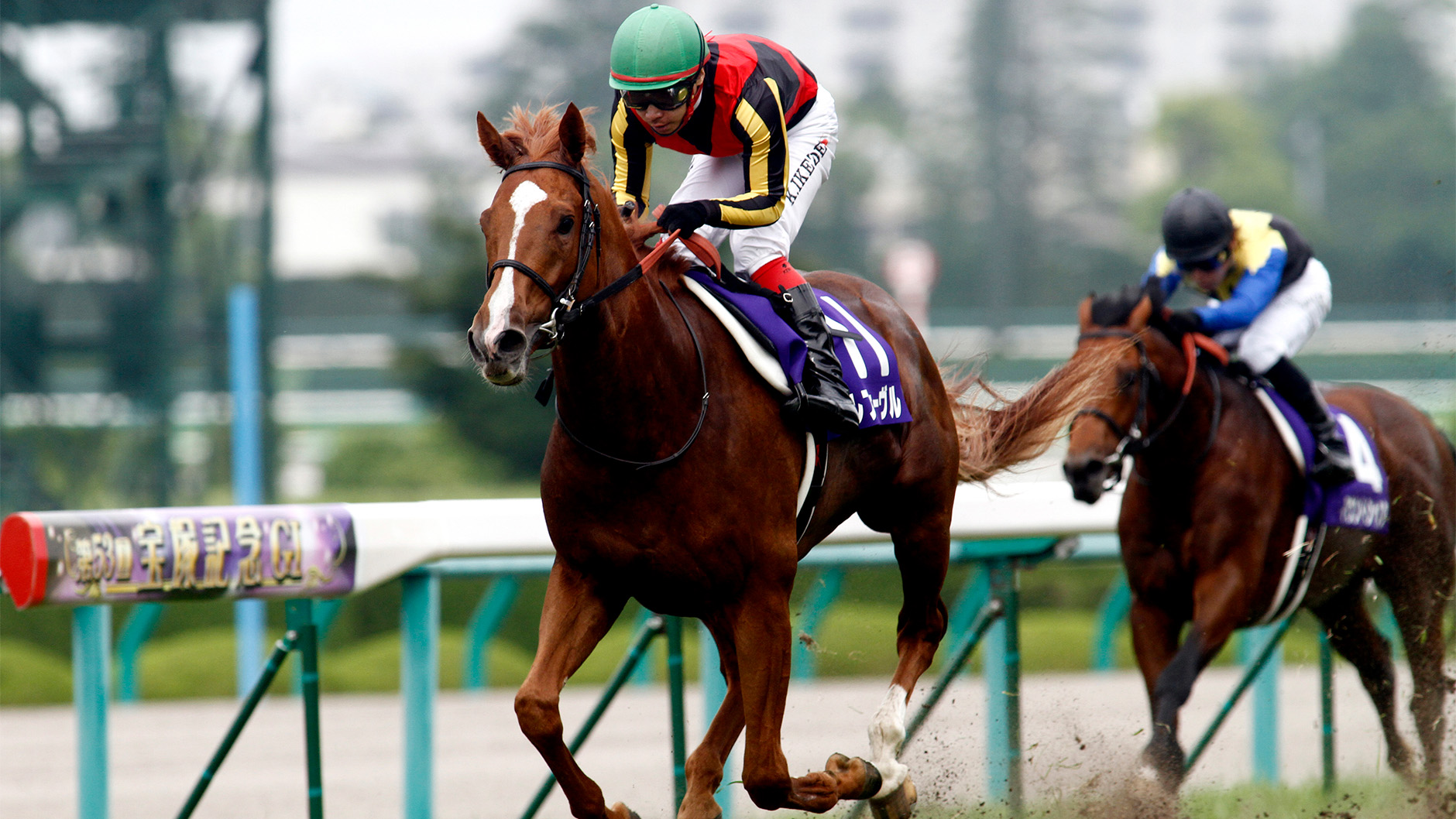 2012�N ��ˋL�O