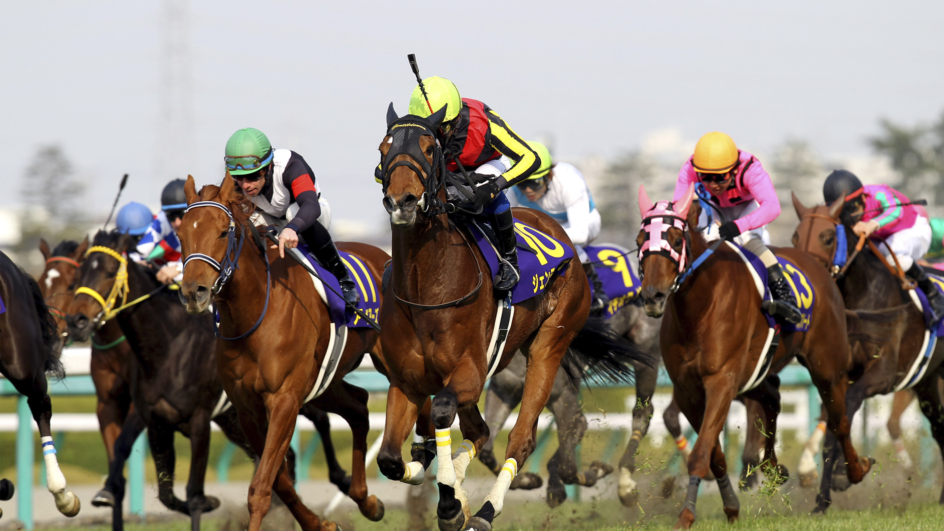 ジェンティルドンナ：競馬の殿堂 JRA