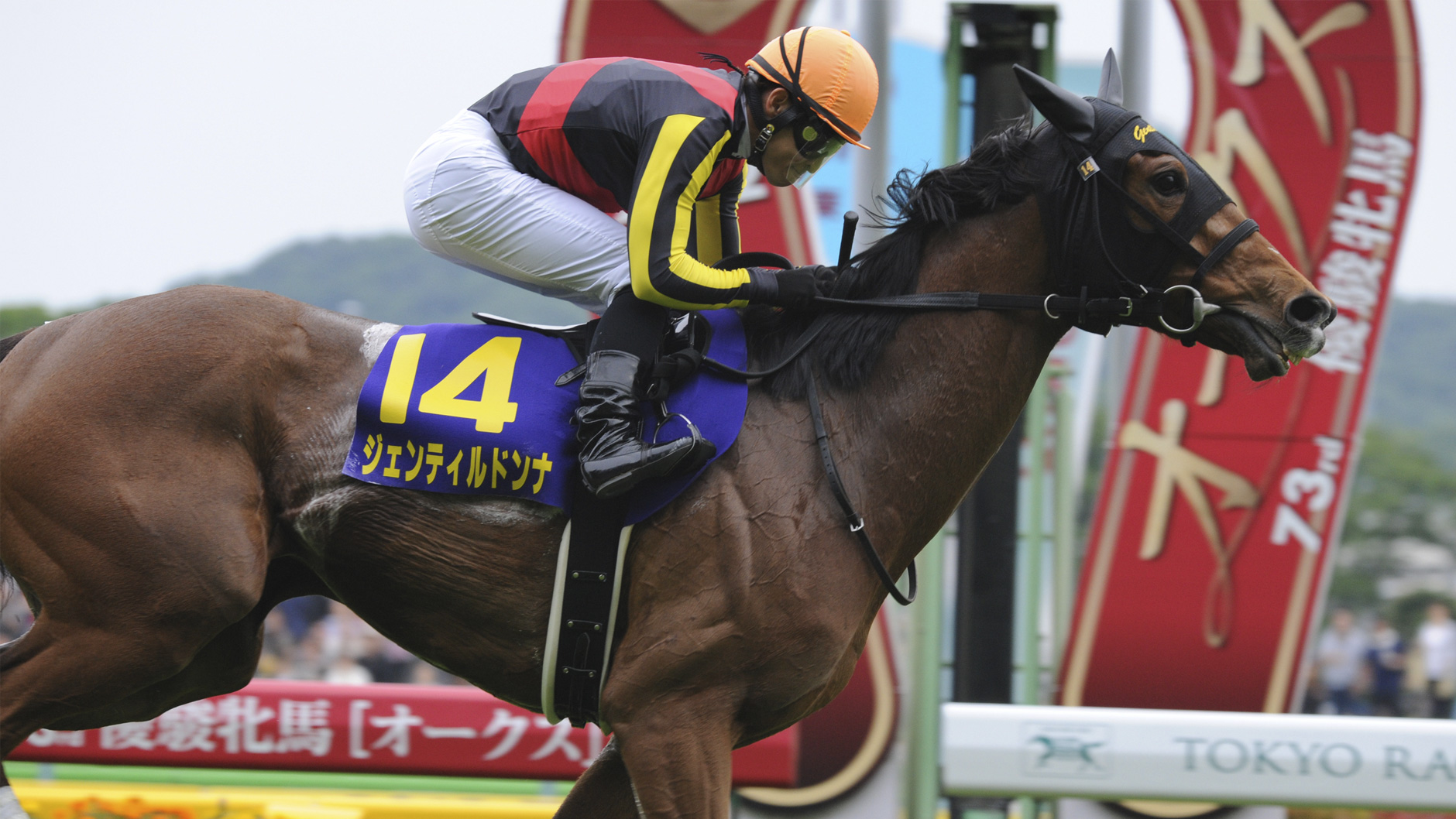 ジェンティルドンナ：競馬の殿堂 JRA