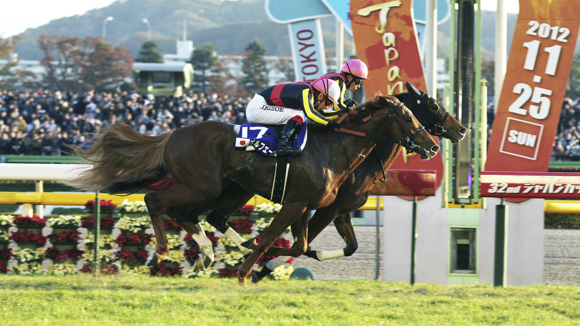 ジェンティルドンナ：競馬の殿堂 JRA