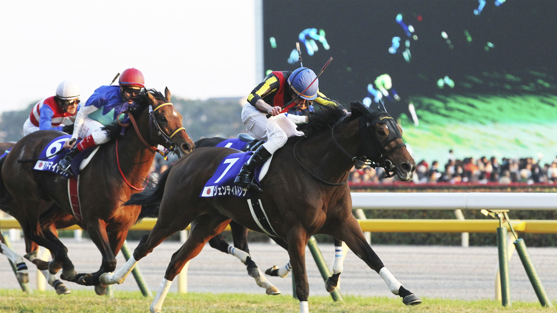 ジェンティルドンナ：競馬の殿堂 JRA