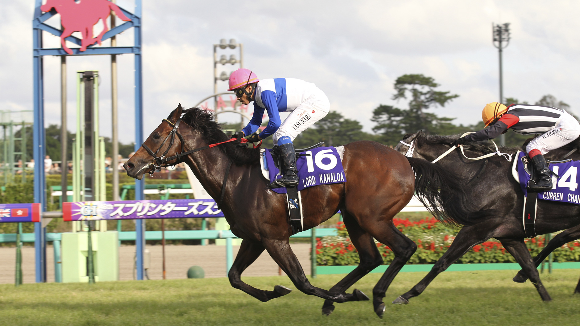 ロードカナロア：競馬の殿堂 JRA