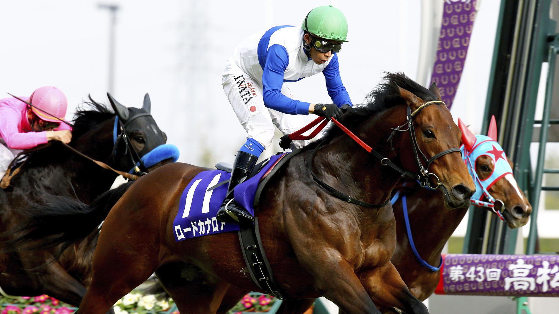 ロードカナロア：競馬の殿堂 JRA